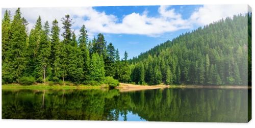 mountain lake in summertime