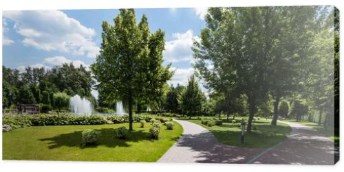 panoramic shot of green trees on grass near fountains