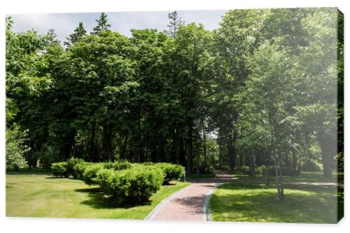 sunshine on path with shadows from trees in summer park 