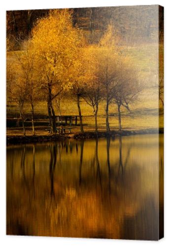 Autumn landscape beautiful colored trees over the river, glowing in sunlight. wonderful picturesque background. color in nature. Bright autumn trees with their reflection in water