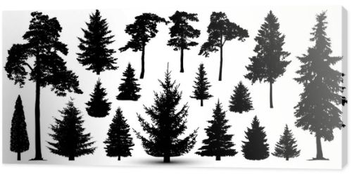 Trees forest set, vector. Silhouette of pine, spruce