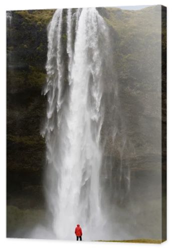 Seljalandsfoss Waterfall - Iceland