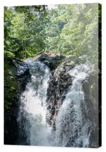 scenic view of Aling-Aling waterfall and various green plants, Bali, Indonesia