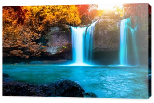 Water fall with red leaf in forest background.