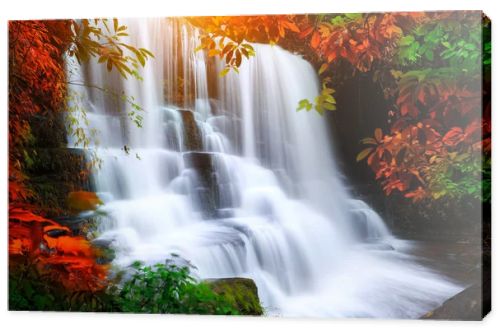 waterfall in rain forest