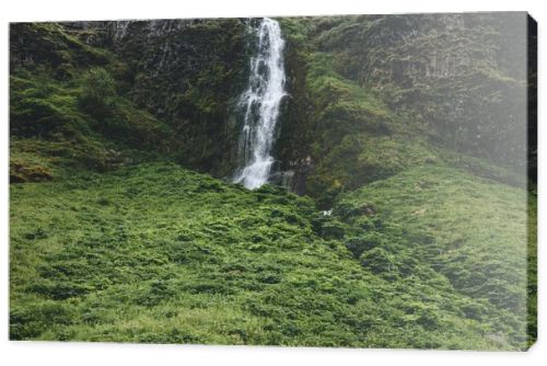 scenic view of landscape with beautiful waterfall in green highlands in Iceland 