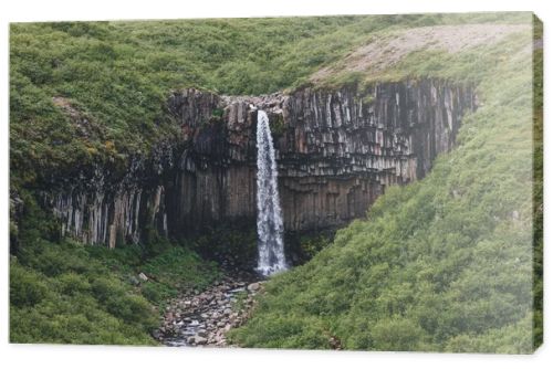Svartifoss