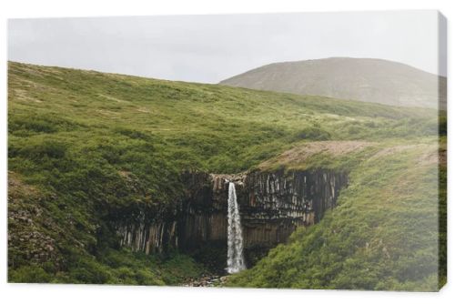 distant view of Svartifoss (Black fall) waterfall in Iceland 