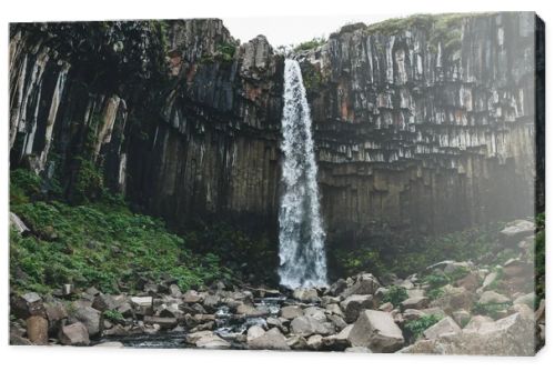 Black fall