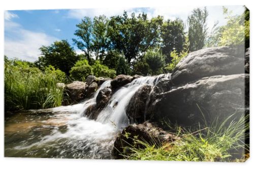 steam with water flowing on wet stones near green trees in park 