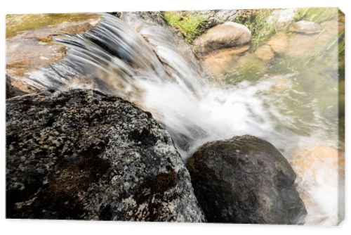 steam with water flowing on rocks near grass in park 