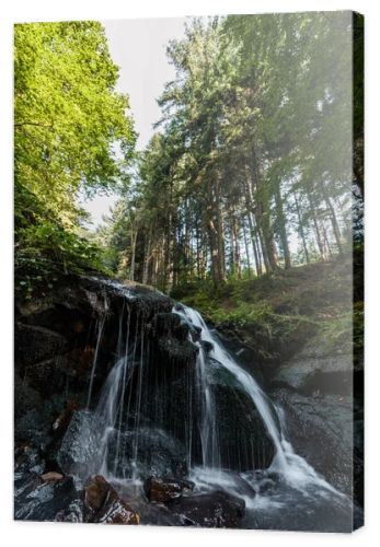 water falling on wet stones in woods