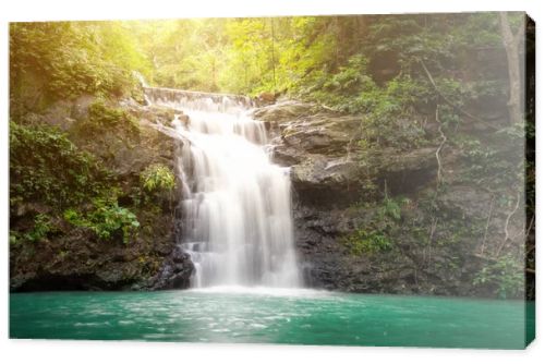 Small waterfall with water splashing and tumbling over the rocks in the forest on a bright sunny