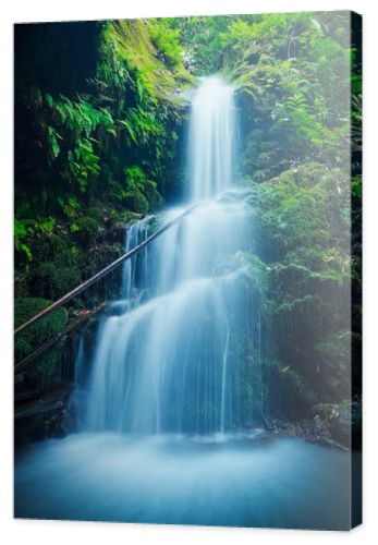 Beautiful Lush Waterfall in Hawaii