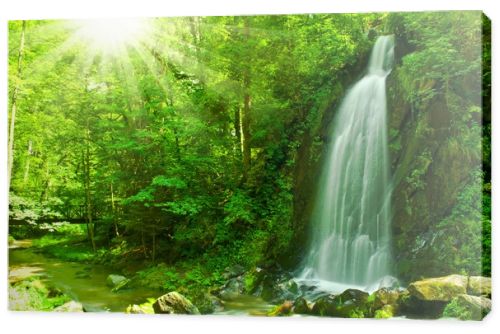 Waterfall