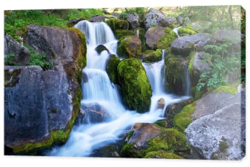 Mountain creek
