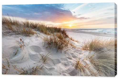 Beach grass on dune, Baltic sea at sunset. Calm landscape