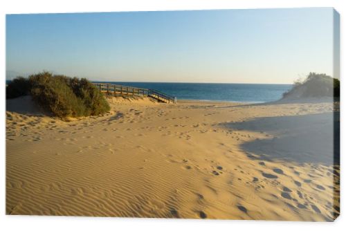 Costal dunes