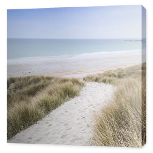 Sandy path leads down through dunes to beautiful golden beach at sunset