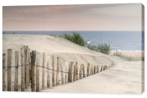 Grassy sand dunes landscape at sunrise