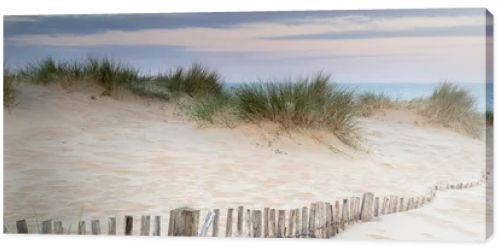 Panorama landscape of sand dunes system on beach at sunrise