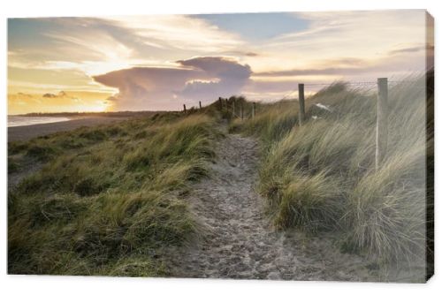 Blue sky Summer beach sunset landscape