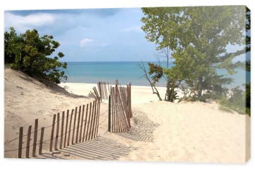 Indiana Sand Dunes