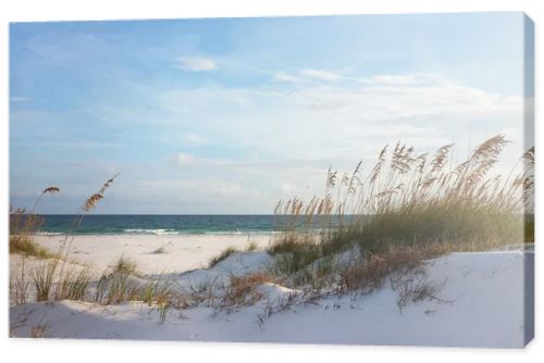 Beautiful beach and dunes at sunset