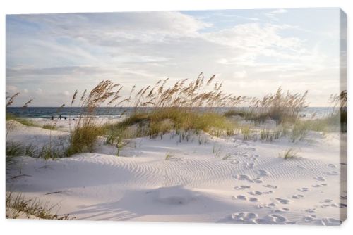 Footprints in the Beach Dunes at Sunset