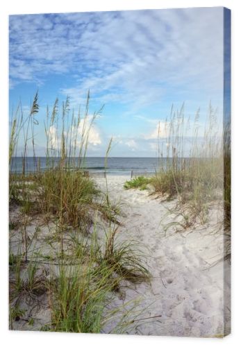 New Day Dawns at White Sands Beach