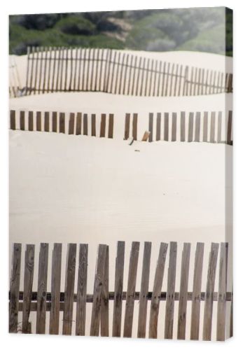 Wooden fences on deserted beach dunes in Tarifa, Spain