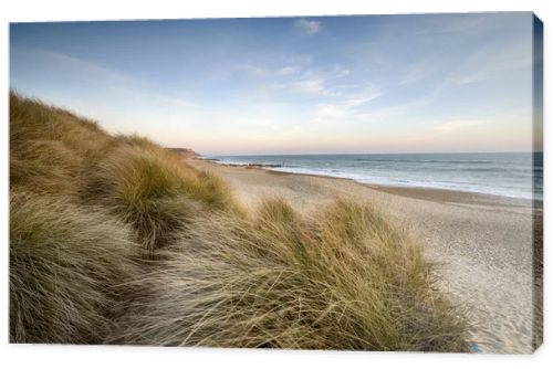 Sand Dunes at Hengistbury Head