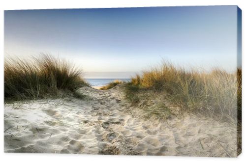 Path through the Dunes