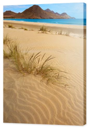 Almeria Playa Genoveses beach Cabo de Gata