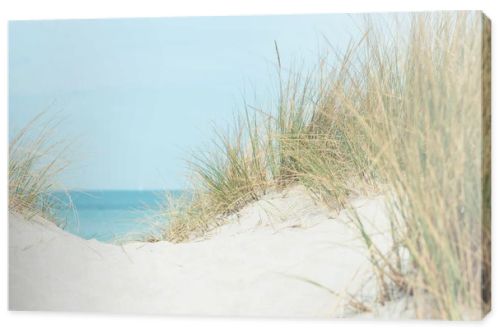 Baltic sea dunes over blue coastline background in Northern Germany