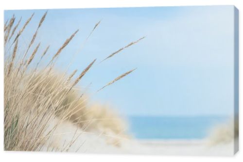 Baltic sea dunes over blue coastline background in Northern Germany