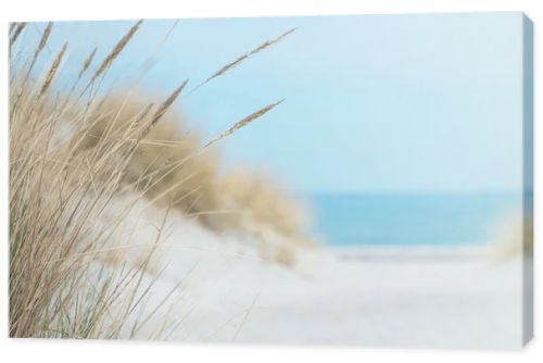 Baltic sea dunes over blue coastline background in Northern Germany