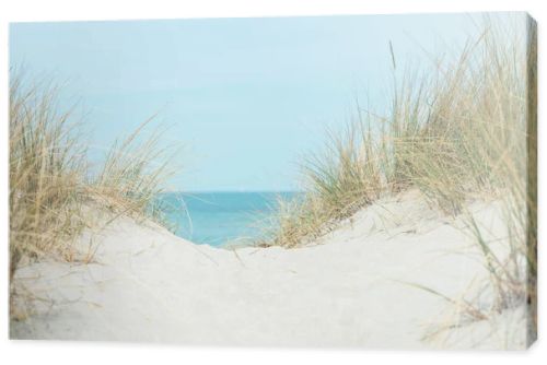 Baltic sea dunes over blue coastline background in Northern Germany