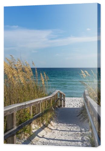 Footpath to beach in paradise