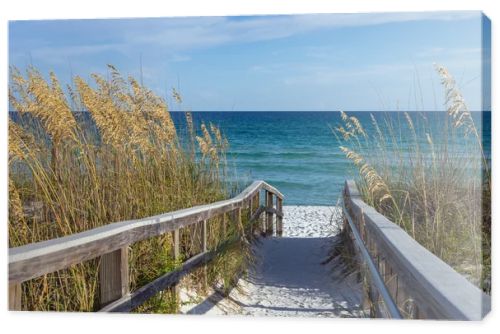 Beach Boardwalk with Dunes and Sea Oats