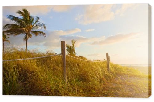 Path to the beach with Sea Oats, grass dunes at sunrise or sunset in Miami Beach, Florida