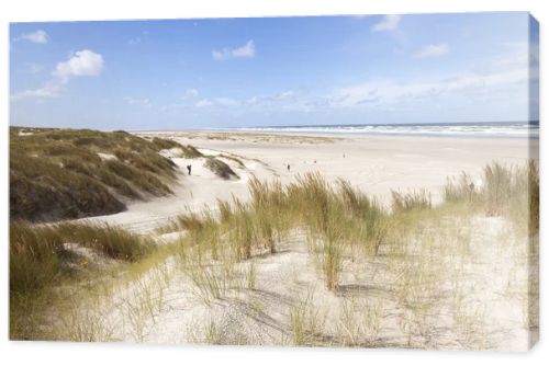 dunes and view over north sea on the island of vlieland in the n