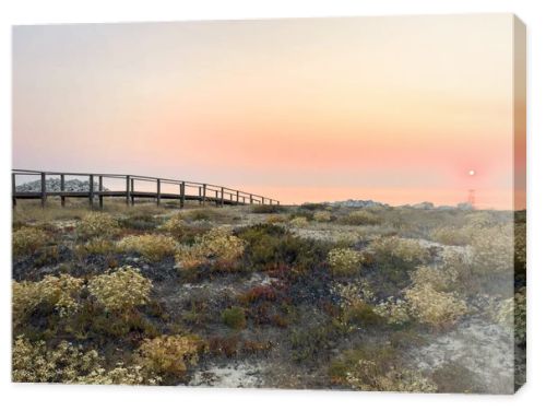 A wooden boardwalk stretches across wild coastal dunes blooming with flora towards a radiant golden sunset over the calm ocean horizon at Furadouro beach in Ovar Portugal creating a serene scene