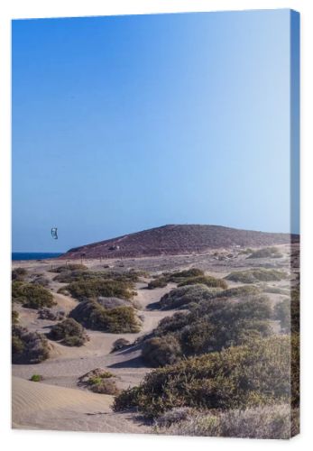 El Medano, Tenerife, Spain  March 1, 2026: Kite surfers riding the waves near sandy dunes of El Medano beach on a windy day. Colorful kites in the blue sky over the Atlantic Ocean, popular destination for water sports and windsurfing in the Canary