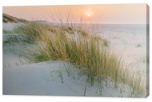 Golden hour paints the sky above the serene beach and dunes. Tall grasses sway gently, casting soft shadows on the cool, blue sand as the sun dips below the horizon.