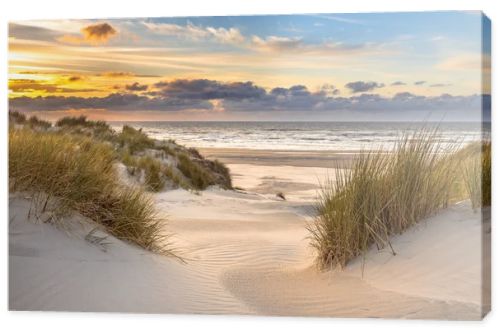View from dune top over sunset in North Sea from the island of Ameland, Friesland, Netherlands