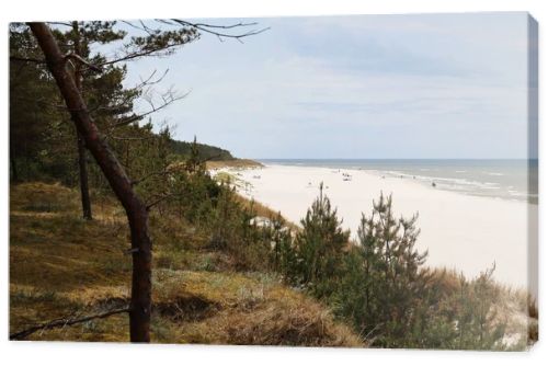 Wide sandy Baltic Sea beach with coastal pine forest and dune landscape under cloudy summer sky