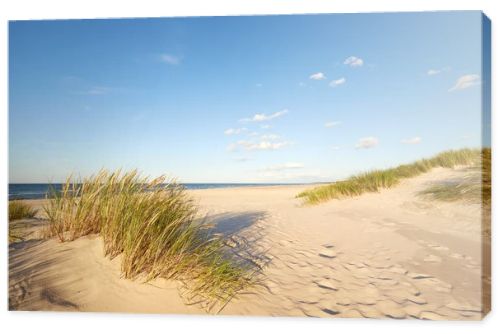 Slovinski national park, Leba sand dune on the Baltic coast