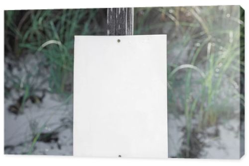 A stark white blank sign stands tall on a 4x4 post, anchored in the pristine white beach sand of Port St. Joe, with blurred coastal vegetation softening the background.