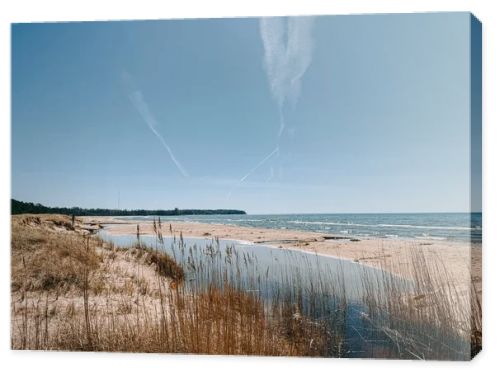 Scenic coastal landscape with sandy beach, calm lagoon and tall reeds under a bright blue sky crossed by airplane contrails. Natural shoreline with copy space, ideal for travel, environment and tourism concepts.